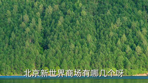 北京新世界商場有哪幾個呀