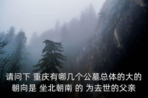 請問下 重慶有哪幾個公墓總體的大的朝向是 坐北朝南 的 為去世的父親