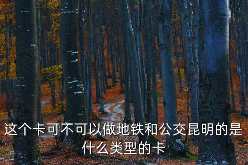 這個卡可不可以做地鐵和公交昆明的是什么類型的卡