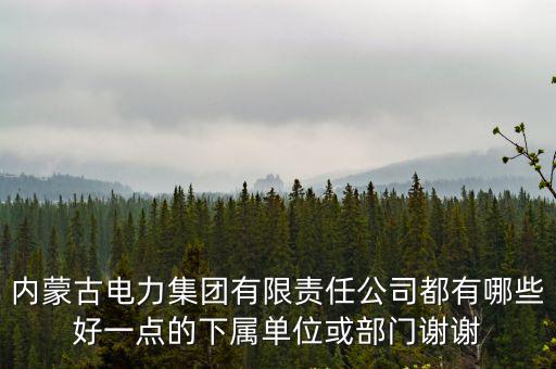 內(nèi)蒙古電力集團(tuán)有限責(zé)任公司都有哪些好一點(diǎn)的下屬單位或部門(mén)謝謝