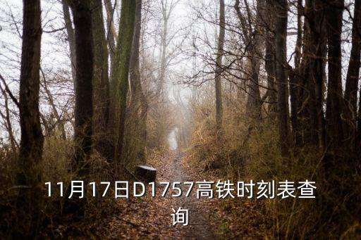 11月17日D1757高鐵時(shí)刻表查詢(xún)