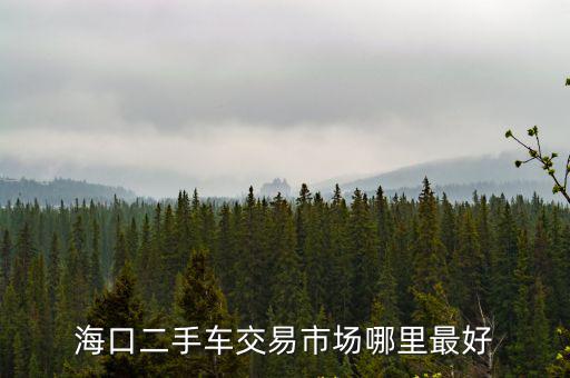 海口二手車交易市場哪里最好