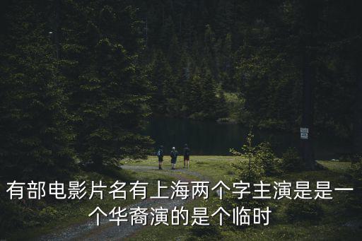 臨時演員電影，有部電影片名有上海兩個字主演是是一個華裔演的是個臨時