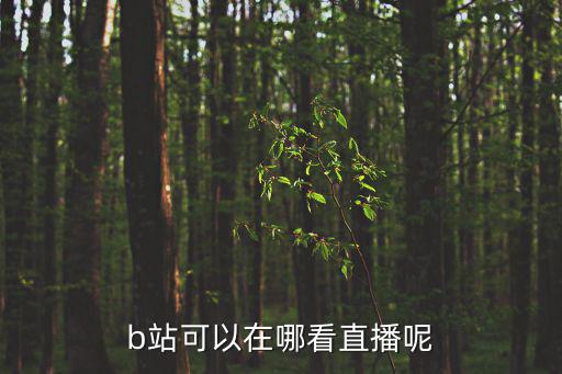 b站直播入口，b站可以在哪看直播呢