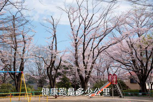 健康跑，重慶健康跑