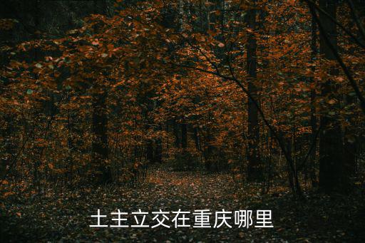 土主立交在重慶哪里