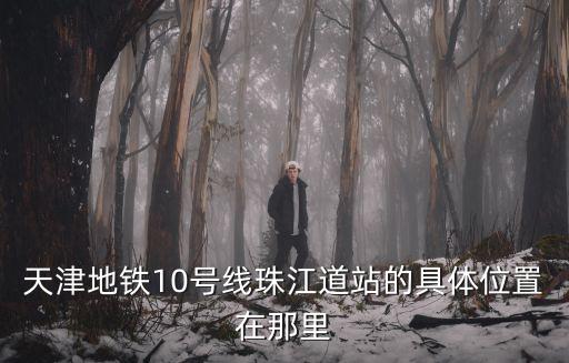 天津地鐵10號線珠江道站的具體位置在那里