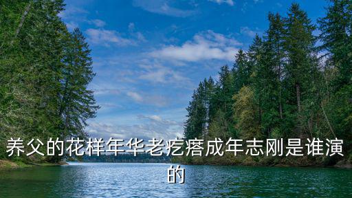 養(yǎng)父的花樣年華老疙瘩成年志剛是誰演的