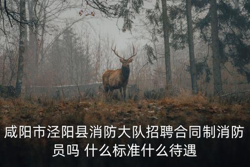 咸陽(yáng)市涇陽(yáng)縣消防大隊(duì)招聘合同制消防員嗎 什么標(biāo)準(zhǔn)什么待遇