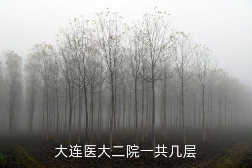 大連醫(yī)大二院一共幾層