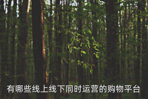 有哪些線上線下同時運營的購物平臺