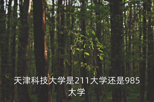 天津科技大學是211大學還是985大學