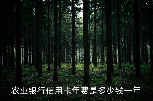 農(nóng)業(yè)銀行信用卡年費(fèi)是多少錢一年