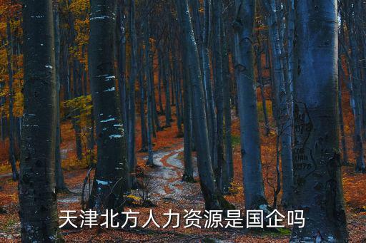 天津北方人力資源是國企嗎