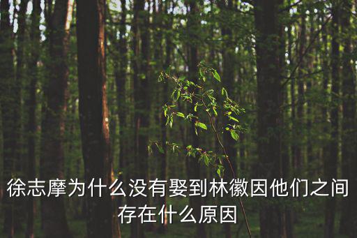 徐志摩為什么沒有娶到林徽因他們之間存在什么原因