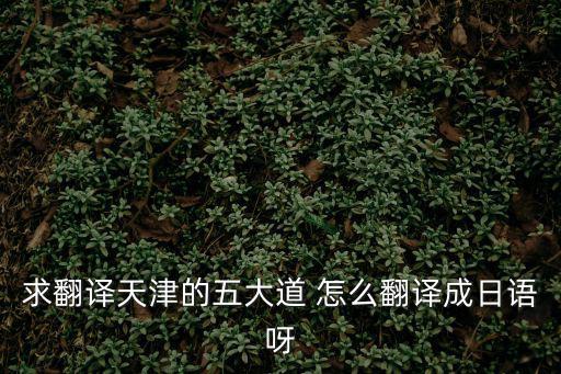 天津五大道圖片，求翻譯天津的五大道 怎么翻譯成日語呀