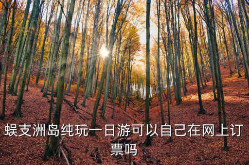 蜈支洲島純玩一日游可以自己在網(wǎng)上訂票嗎