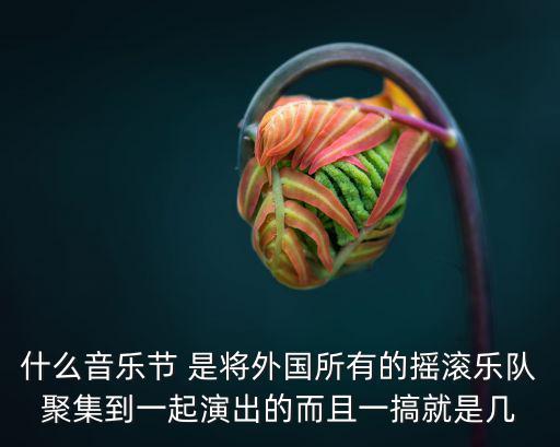 什么音樂節 是將外國所有的搖滾樂隊聚集到一起演出的而且一搞就是幾