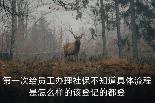 第一次給員工辦理社保不知道具體流程是怎么樣的該登記的都登