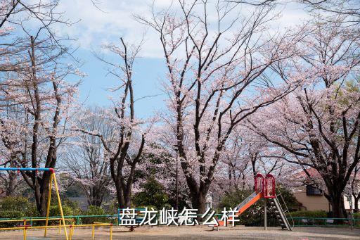 盤龍峽怎么樣