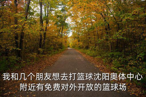 奧體中心籃球館，營口奧體中心籃球館對外開放嗎