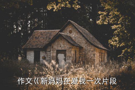 作文巜新媽媽在愛我一次片段