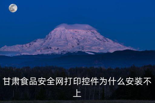 甘肅省食品安全網(wǎng)，甘肅食品安全網(wǎng)打印控件為什么安裝不上