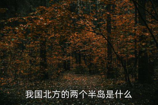 我國北方的兩個半島是什么