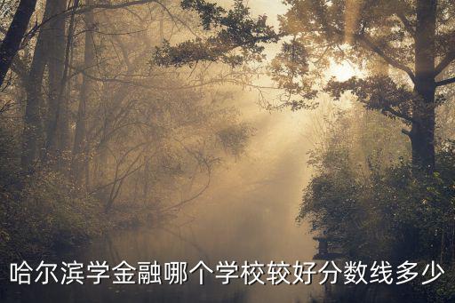 哈爾濱學金融哪個學校較好分數線多少