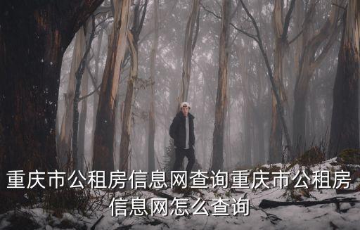 重慶市公租房信息網查詢重慶市公租房信息網怎么查詢
