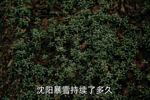 沈陽(yáng)暴雪，沈陽(yáng)的雷暴雪是怎樣產(chǎn)生的