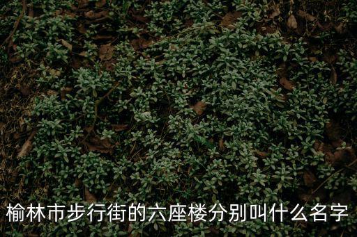 榆林市步行街的六座樓分別叫什么名字