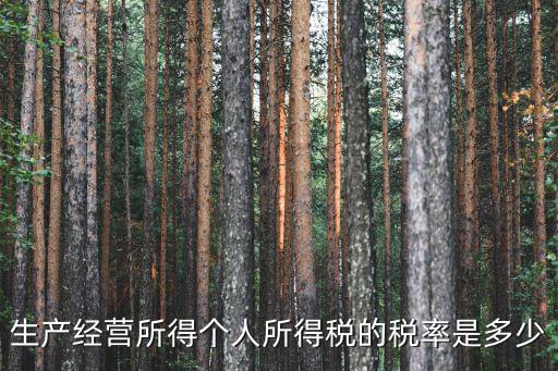 生產經營所得個人所得稅的稅率是多少