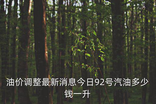 油價(jià)調(diào)整最新消息今日92號(hào)汽油多少錢一升
