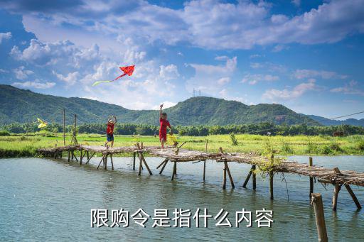 限購令內容，多地限購令是啥