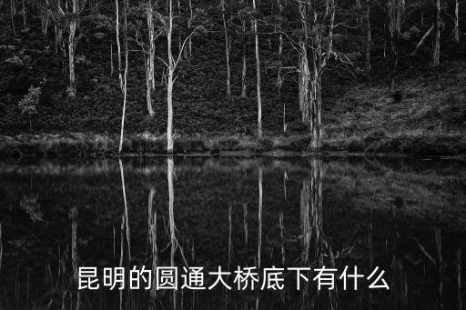 昆明的圓通大橋底下有什么