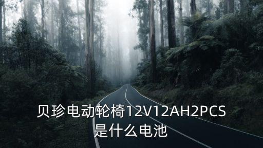 貝珍電動輪椅12V12AH2PCS是什么電池