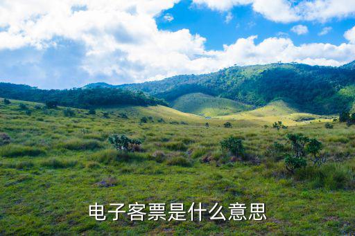 電子客票，電子客票需要取票嗎