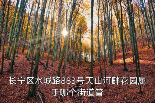 長寧區水城路883號天山河畔花園屬于哪個街道管