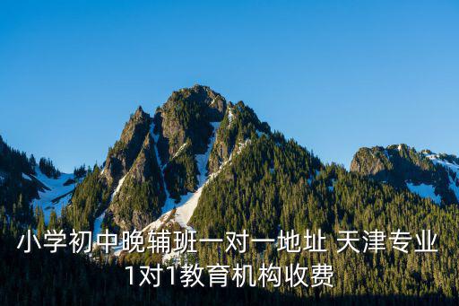小學初中晚輔班一對一地址 天津專業1對1教育機構收費