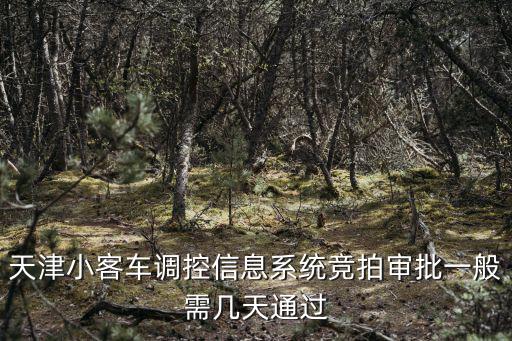 天津小客車調控信息系統(tǒng)競拍審批一般需幾天通過