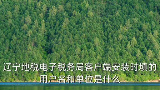 國家稅務局遼寧省電子稅務局，遼寧省國家稅務局網頁是