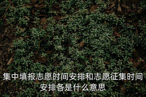 征集志愿填報時間，集中填報志愿時間安排和志愿征集時間安排各是什么意思