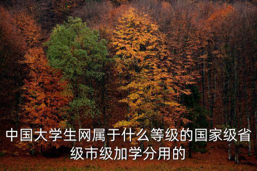 中國大學生網屬于什么等級的國家級省級市級加學分用的