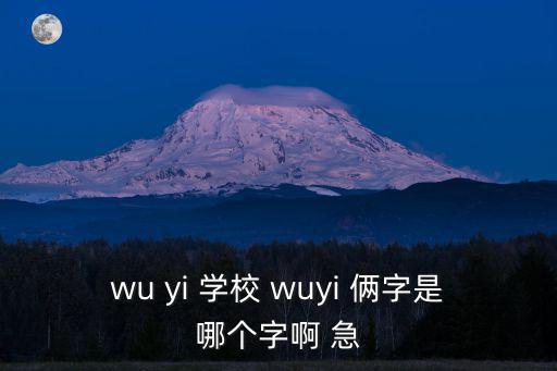 wu yi 學(xué)校 wuyi 倆字是哪個字啊 急