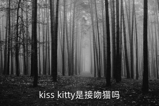 kisskitty，kiss kitty是接吻貓嗎