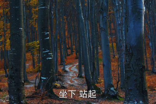 站起，站起來是什么