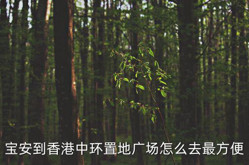 寶安到香港中環置地廣場怎么去最方便