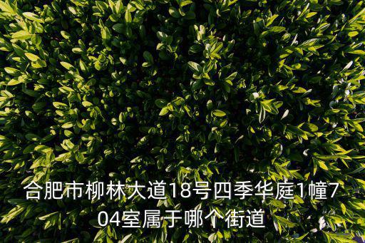 合肥市柳林大道18號四季華庭1幢704室屬于哪個街道
