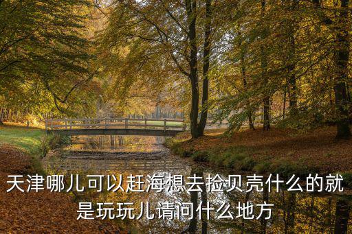 天津趕海，天津哪兒可以趕海想去撿貝殼什么的就是玩玩兒請問什么地方